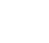 Fleet